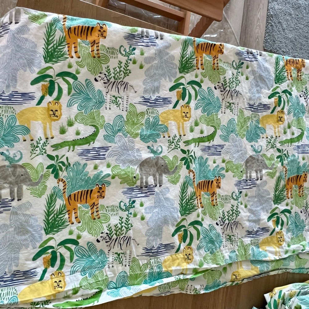 Pottery Barn Kids Full Size Sheet Set